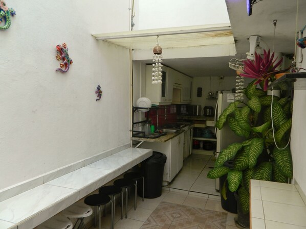 A narrow kitchen with a white countertop, a sink, and a refrigerator. There are stools under the counter and a large potted plant on the right. - Casa Laurel (Cancun)