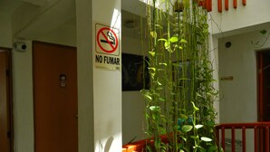 A staircase with a red railing, a 'No Smoking' sign, and a hanging plant. - Casa Laurel (Cancun)