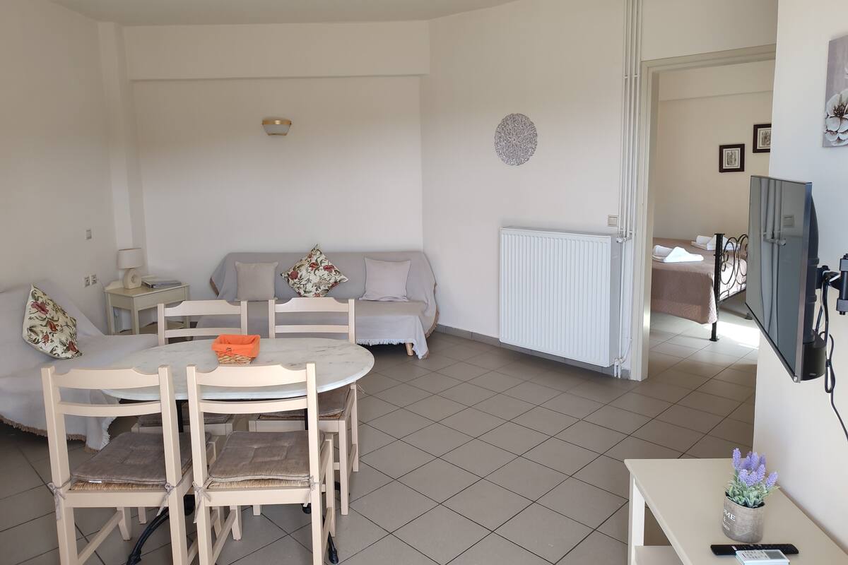 Ein Zimmer mit Esstisch, Stühlen, einer Couch, einem Heizkörper, einem Fernseher und einem Bett mit Fenster.