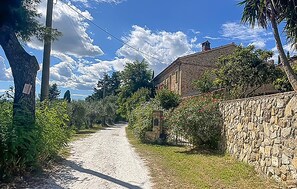 Eine ländliche Straße, gesäumt von Steinmauern und Vegetation.