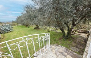 A stone staircase leading to a balcony with a metal railing, overlooking a grassy area with olive trees.