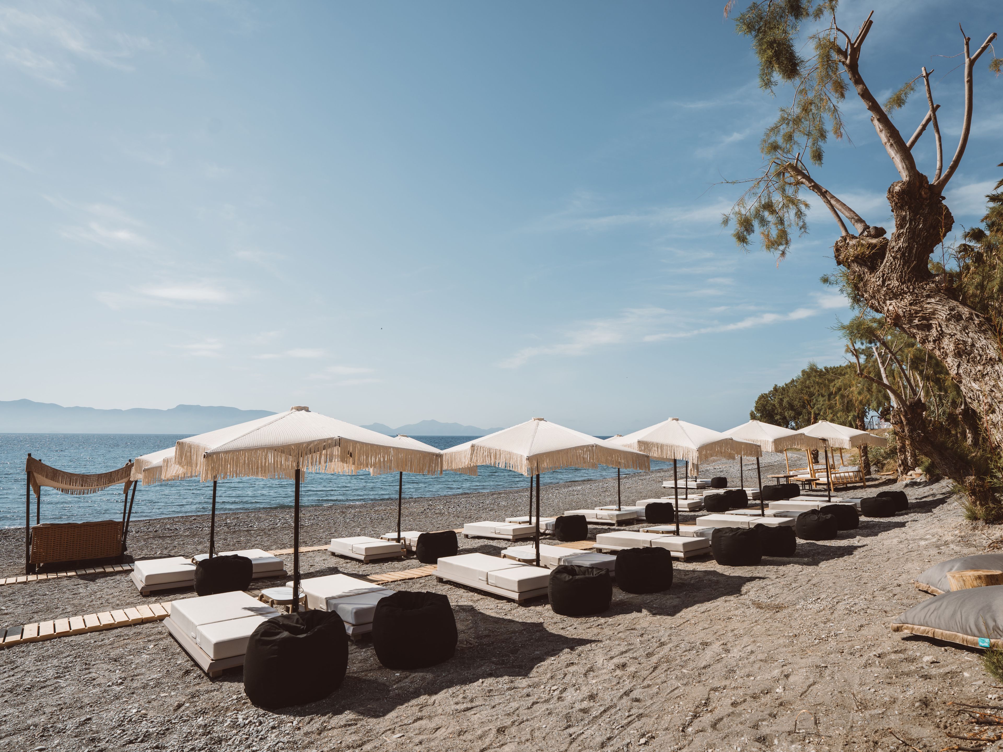 A beach with lounge chairs and umbrellas, a rocky shoreline, and a tree.