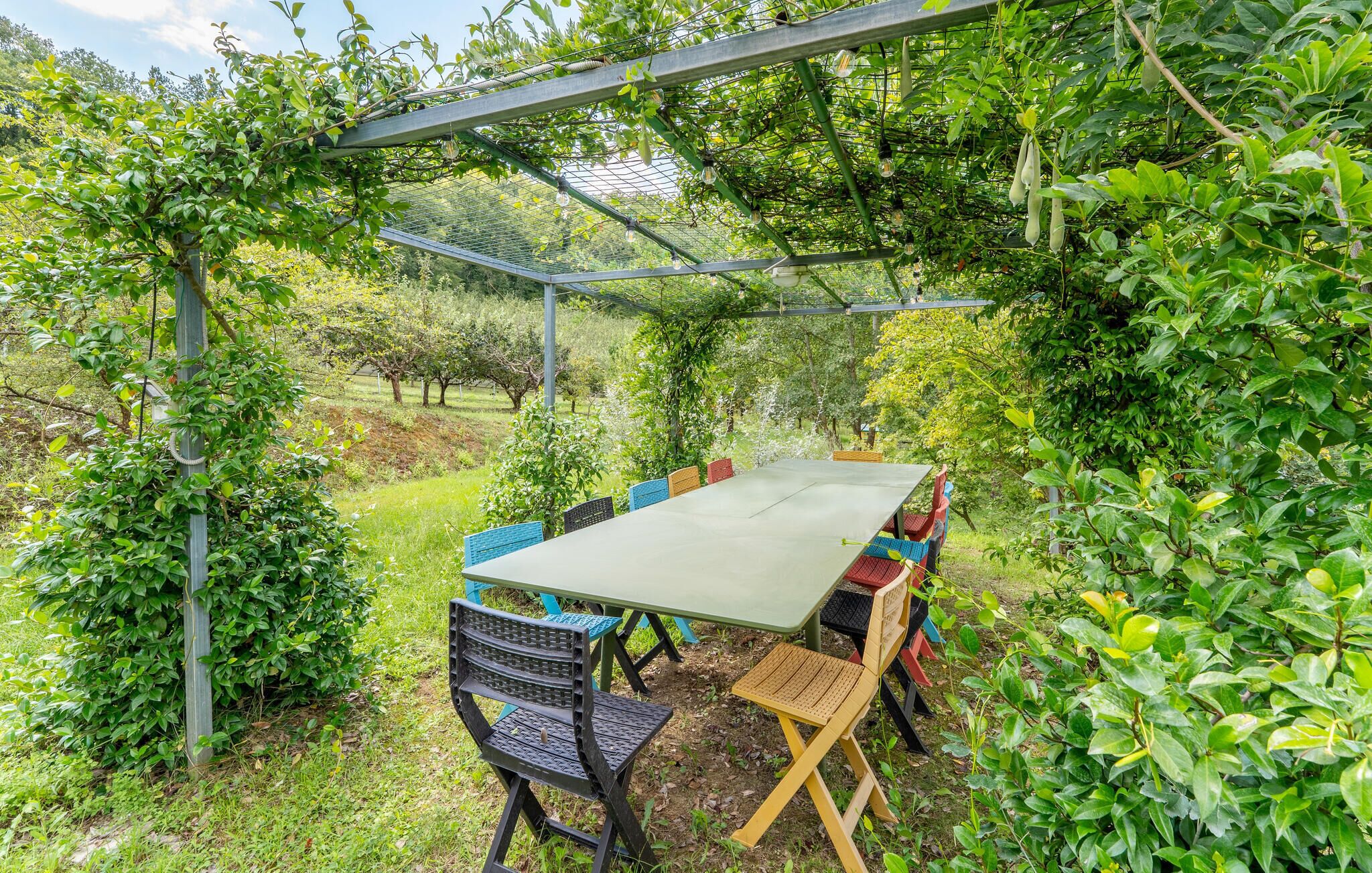 An outdoor dining area with a table and chairs, surrounded by greenery and a metal pergola.