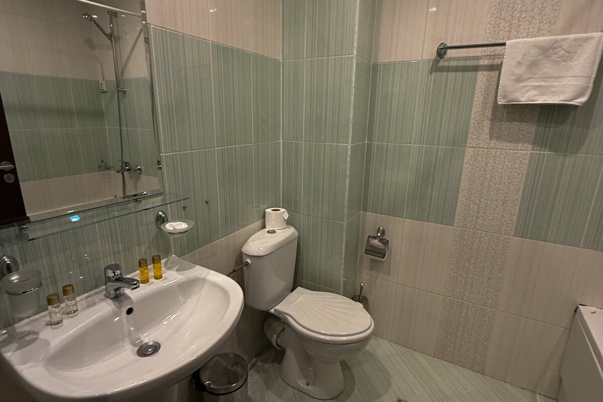 A bathroom with a sink, toilet, and shower.