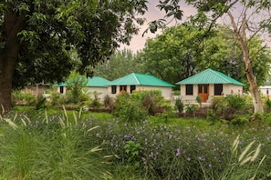 A row of green-roofed cottages surrounded by lush greenery and purple flowers. - Zana Forest Resort Ranthambore (Sawai Madhopur)