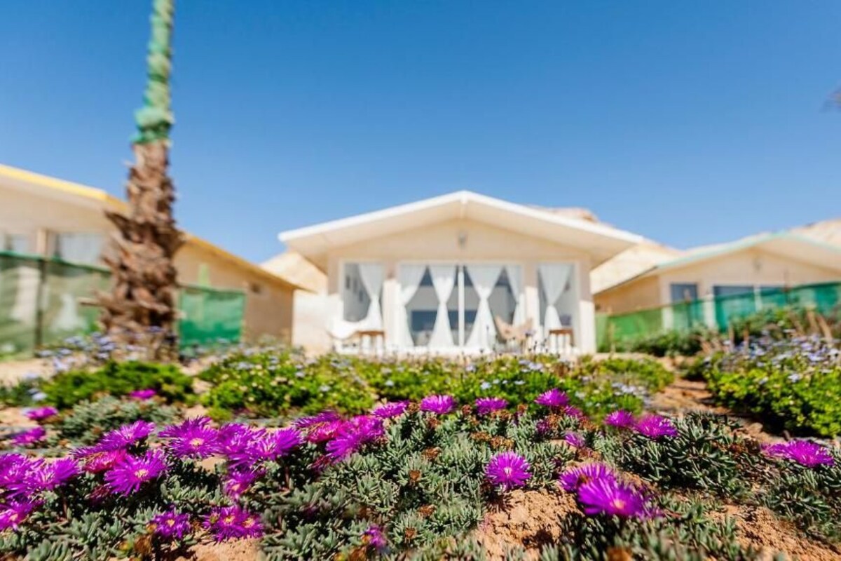 Un hotel con facciata bianca, una zona esterna coperta e un giardino con fiori viola.
