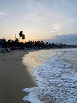 A beach with a sandy shore, palm trees, and a clear sky. - The Calm Of8 Arugambay (Arugam Bay)