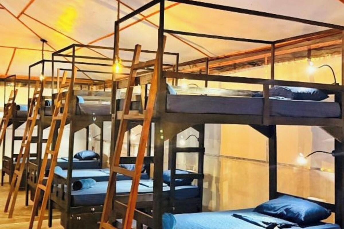 A series of bunk beds with wooden frames and ladders, arranged in a row under a tent-like structure.