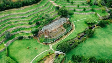 Terraced agricultural fields with a greenhouse structure.