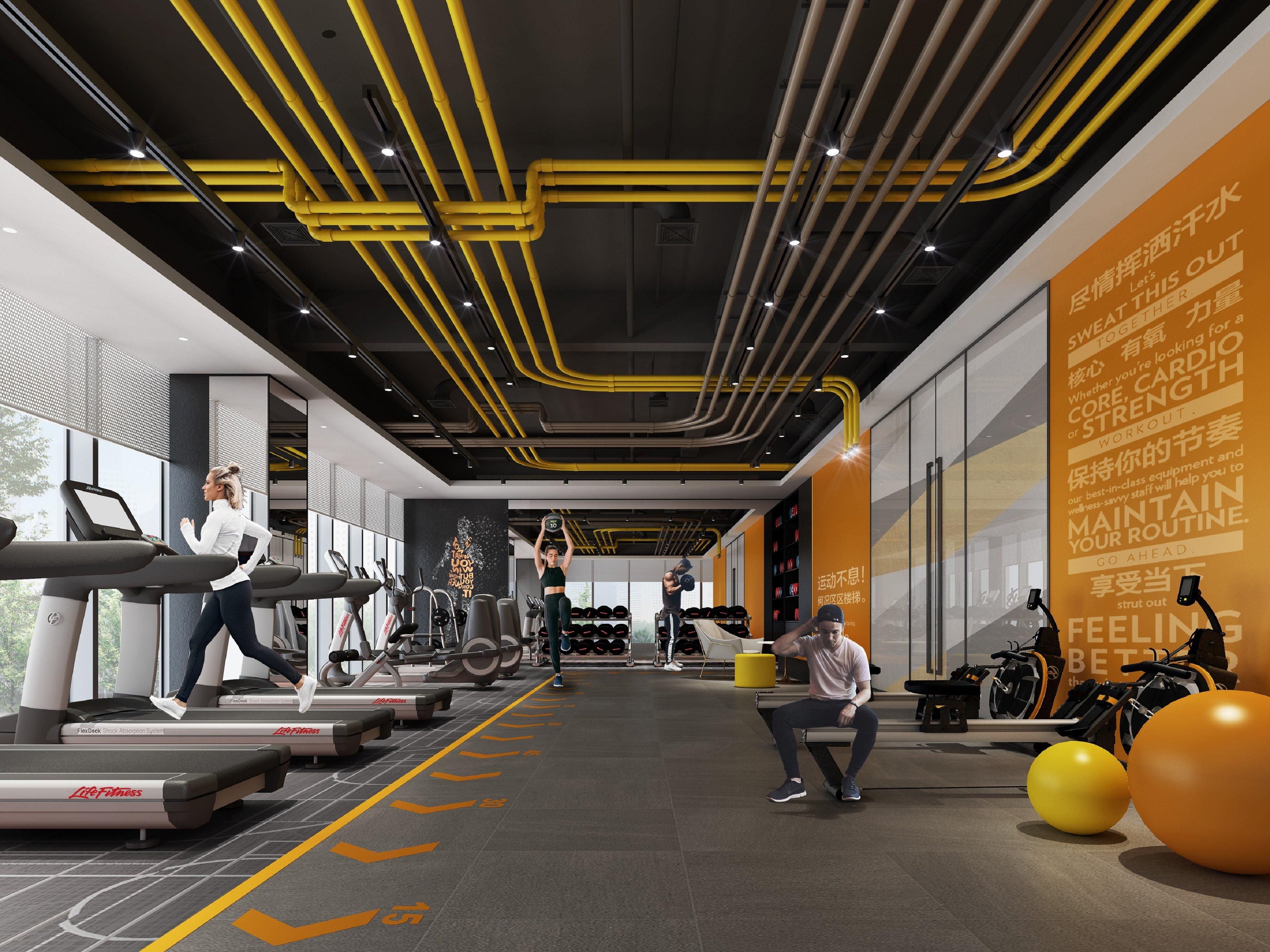 A modern gym with treadmills, weight machines, and exercise balls.
