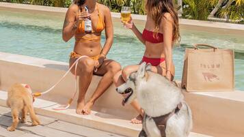 Dos personas junto a una piscina con un perro, rodeadas de follaje.