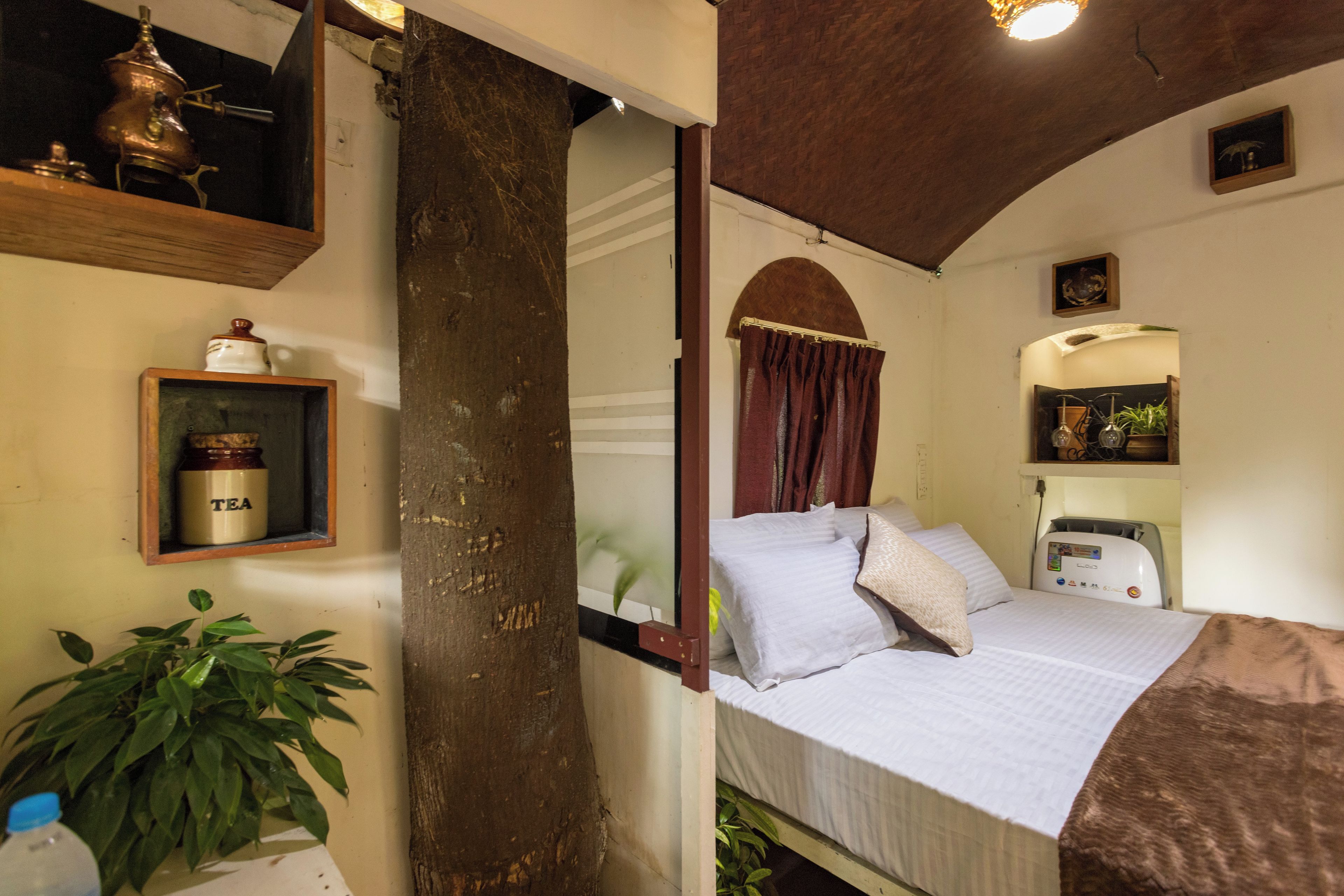 A room with a bed, a shelf with a tea container, a plant, and a mirror.