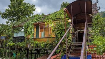 Una casa de madera con escalera y porche cubierto, rodeada de abundante vegetación.