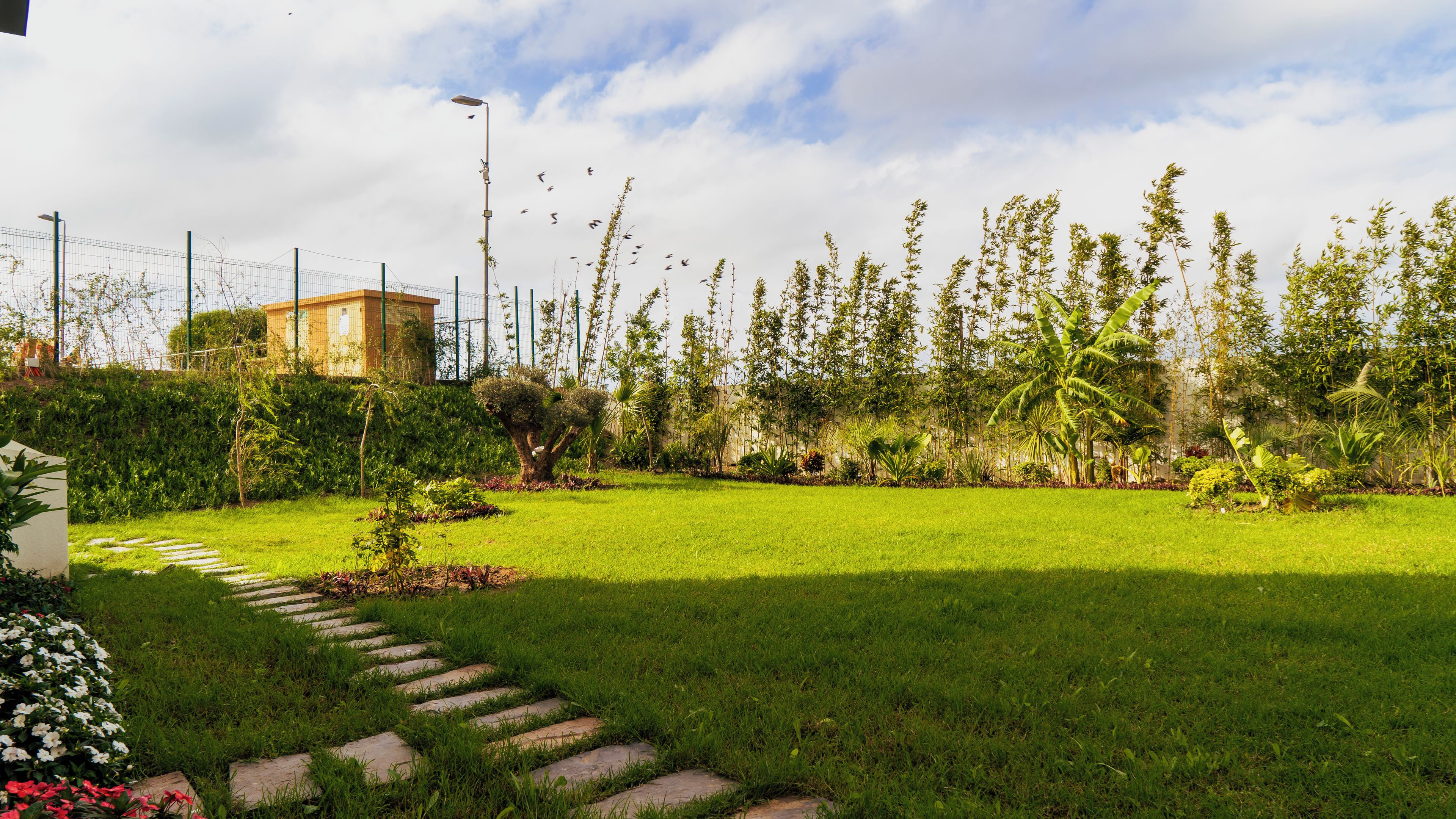 Un área verde con un sendero de piedra que lleva a un edificio, rodeado de plantas y árboles.