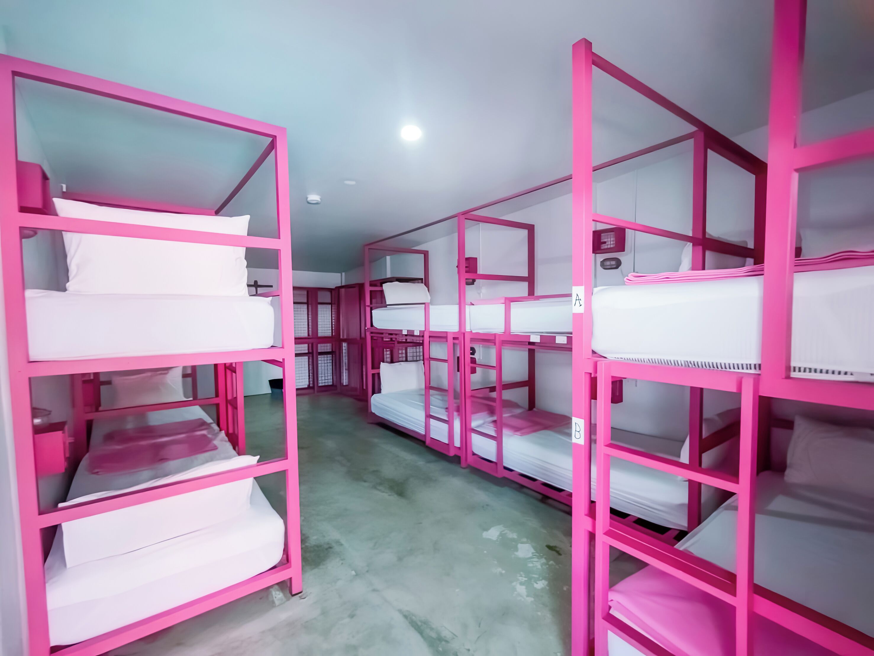 Bunk beds with pink frames in a dormitory-style room.