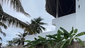 A modern building with a white facade, a bamboo fence, and palm trees in the background. - Dar Jamila (Nungwi)