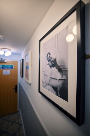 Lobby - City Rooms by Hiive (Worcester)
