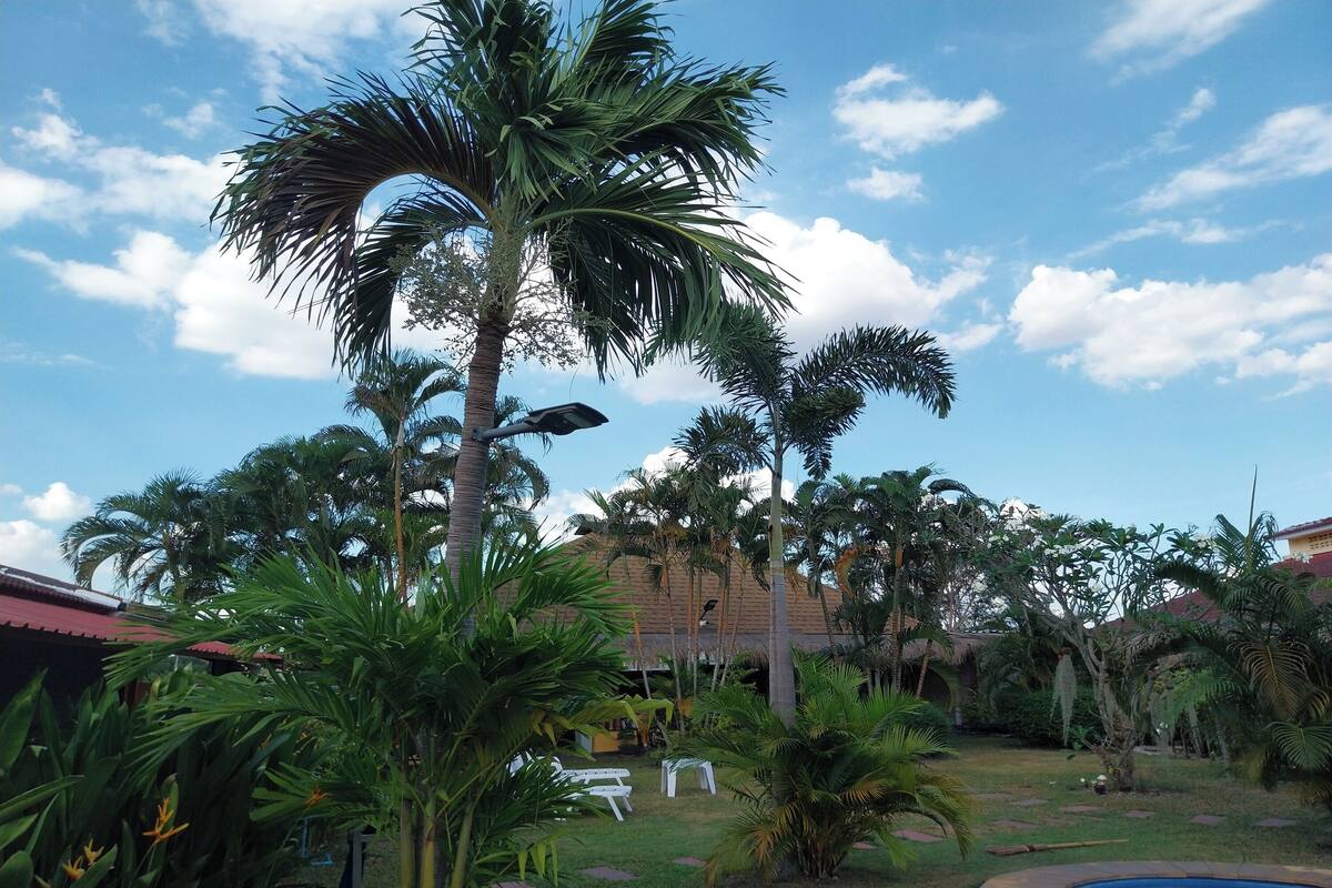 Un jardín tropical con palmeras, una piscina y un edificio de techo rojo.
