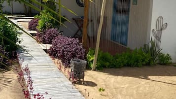 Uma trilha conduz a um edifício com telhado de palha, cercado por vegetação e um cacto.
