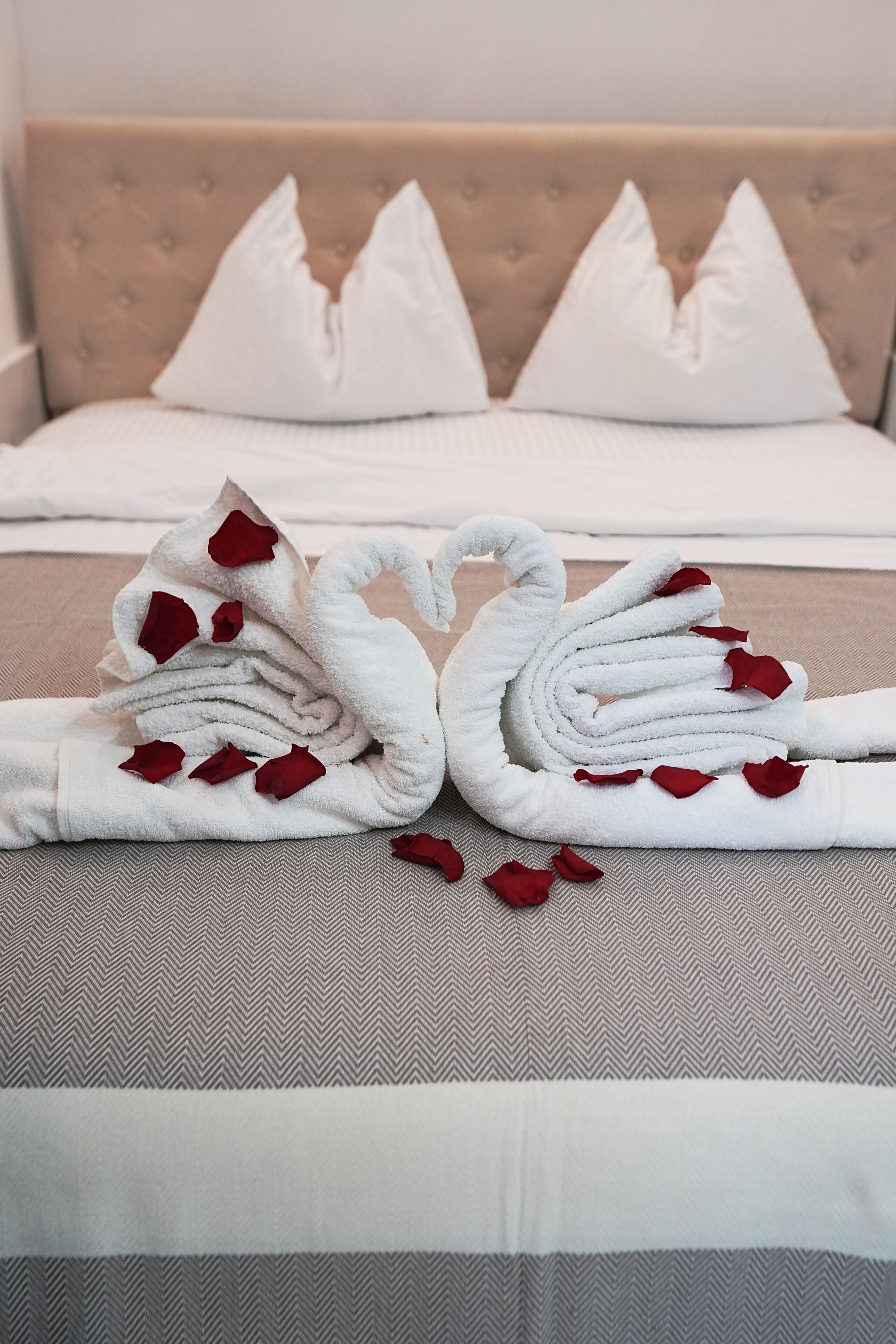A neatly made bed with white pillows and a beige headboard.
