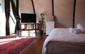 A room with a bed, a TV, a small fridge, a plant, and a red carpet. - Snail House (Adapazari)