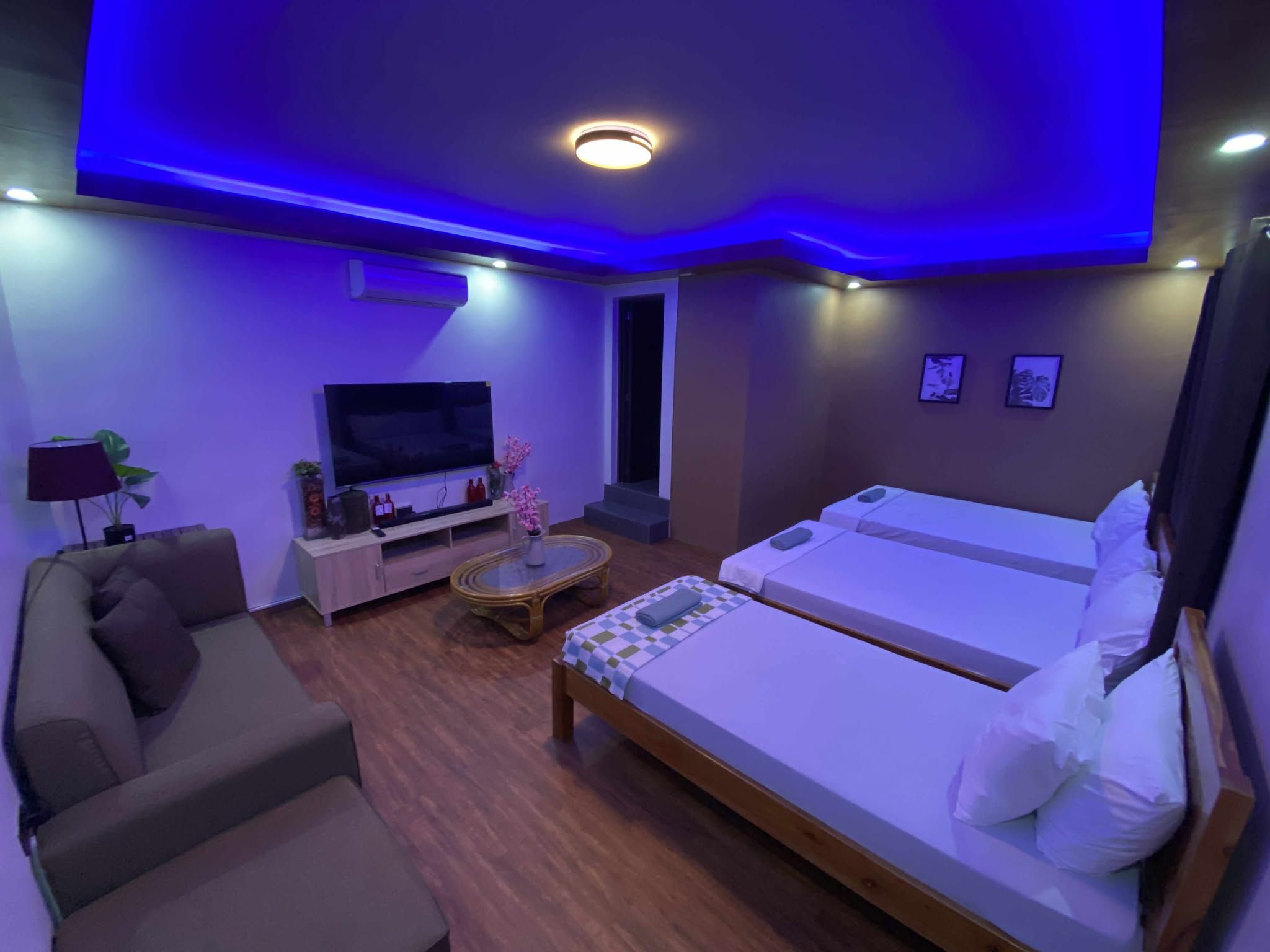 A hotel room with a sofa, a TV, a small table with a vase, two beds, and a ceiling light.