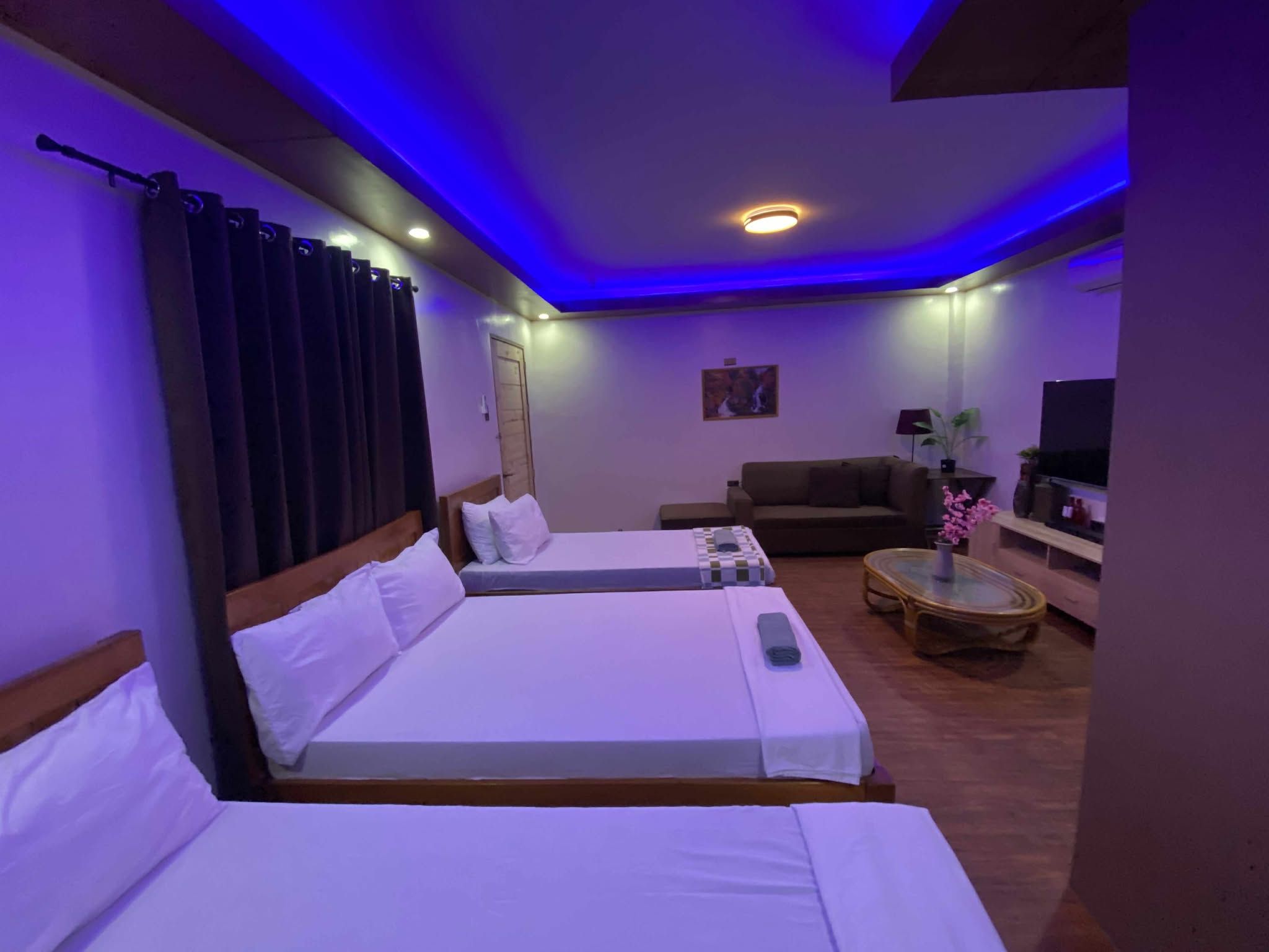 A hotel room with two beds, a sofa, a TV, and a small table with a plant.