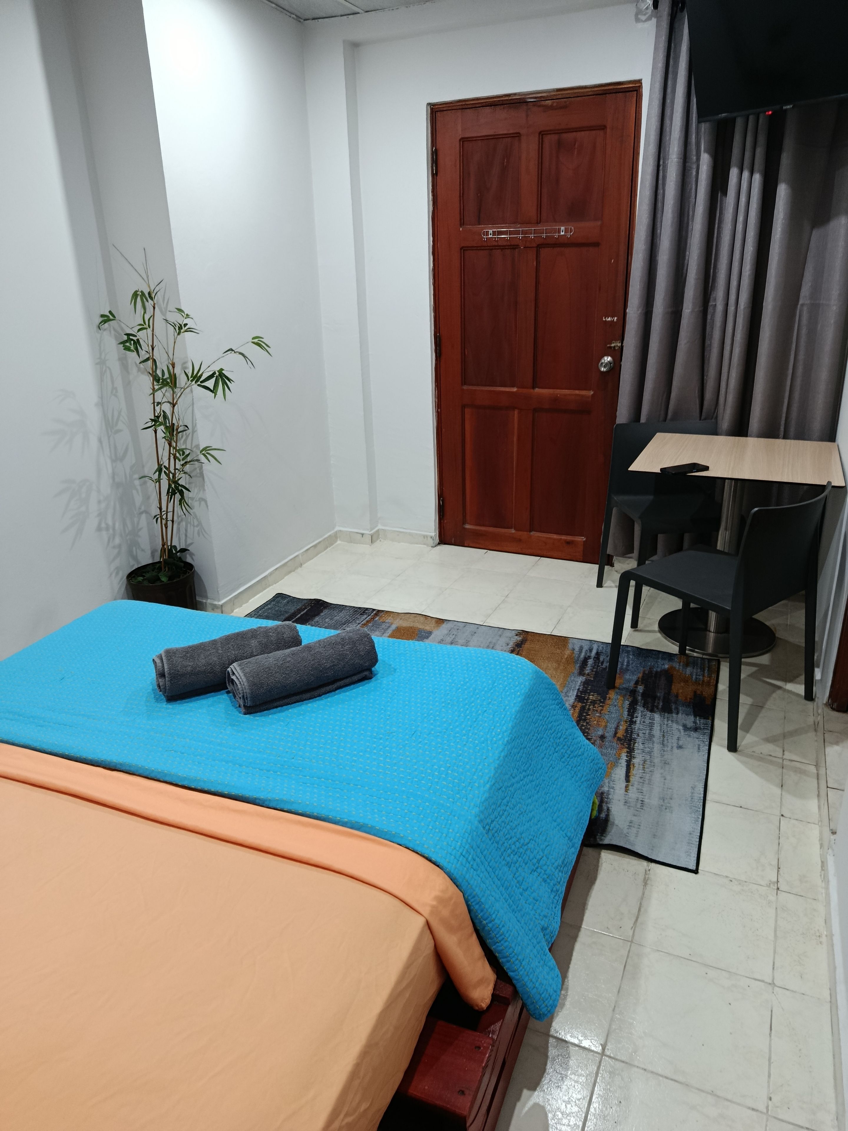 Un dormitorio con cama, escritorio, silla, planta en maceta y una puerta.