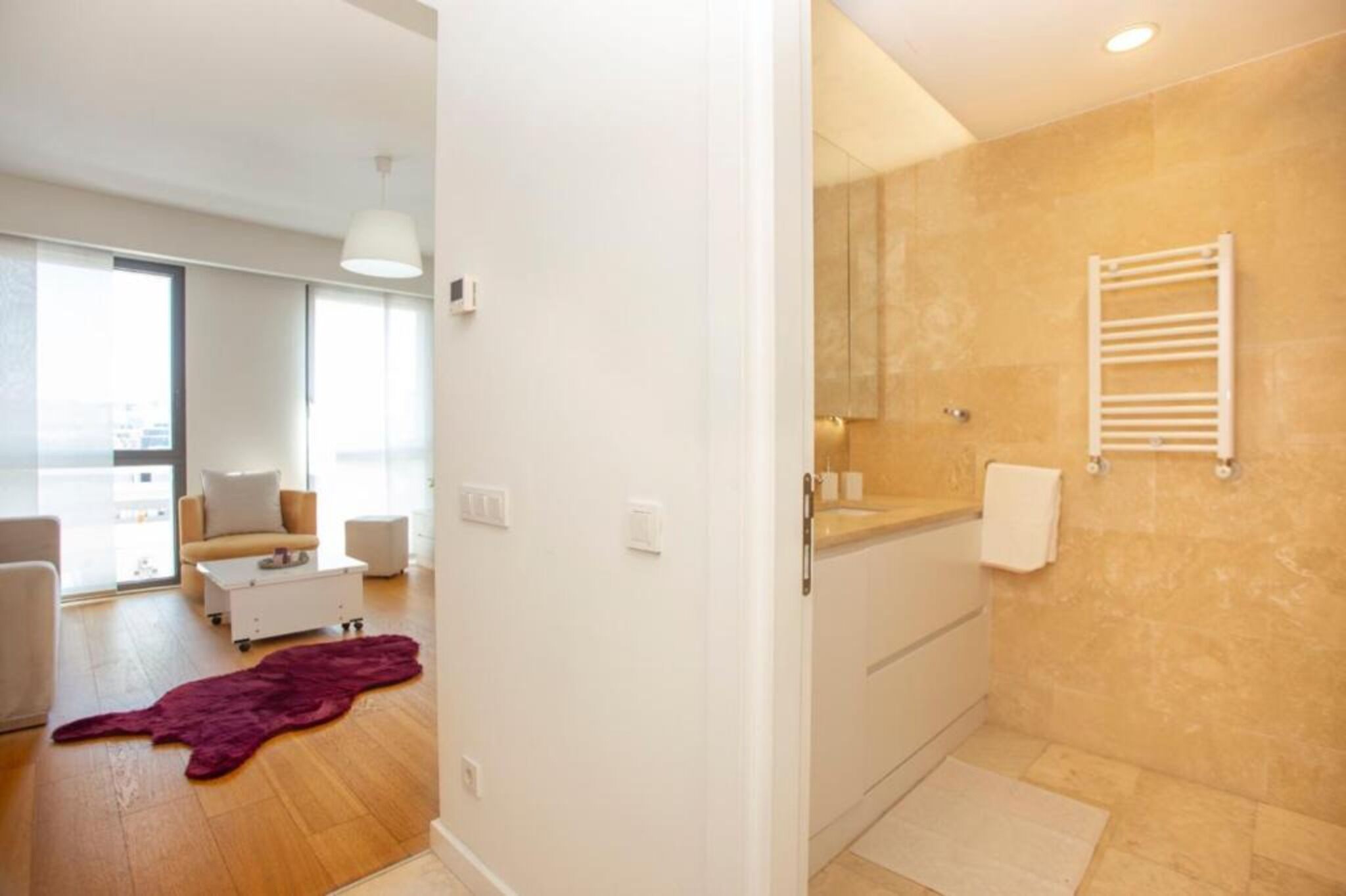 A modern apartment with a living area, a bathroom with a shower, and a large window.