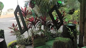 Un jardín con diversas plantas y elementos decorativos, que incluye una estructura de madera y una pequeña mesa.