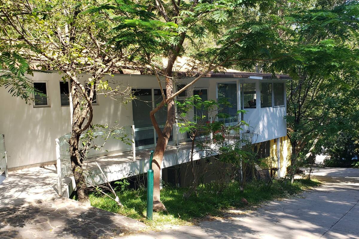 Un edificio blanco con varias ventanas, rodeado de árboles y follaje.