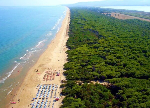 An aerial view of a beach with a dense forest on one side and a sandy beach with umbrellas and sun loungers on the other.