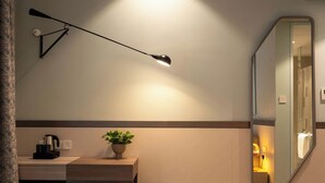 A hotel room with a desk, a mirror, a ceiling lamp, a potted plant, and a trash bin. - Sesaya Poshtel & Bistro (Sri Jayawardenepura Kotte)