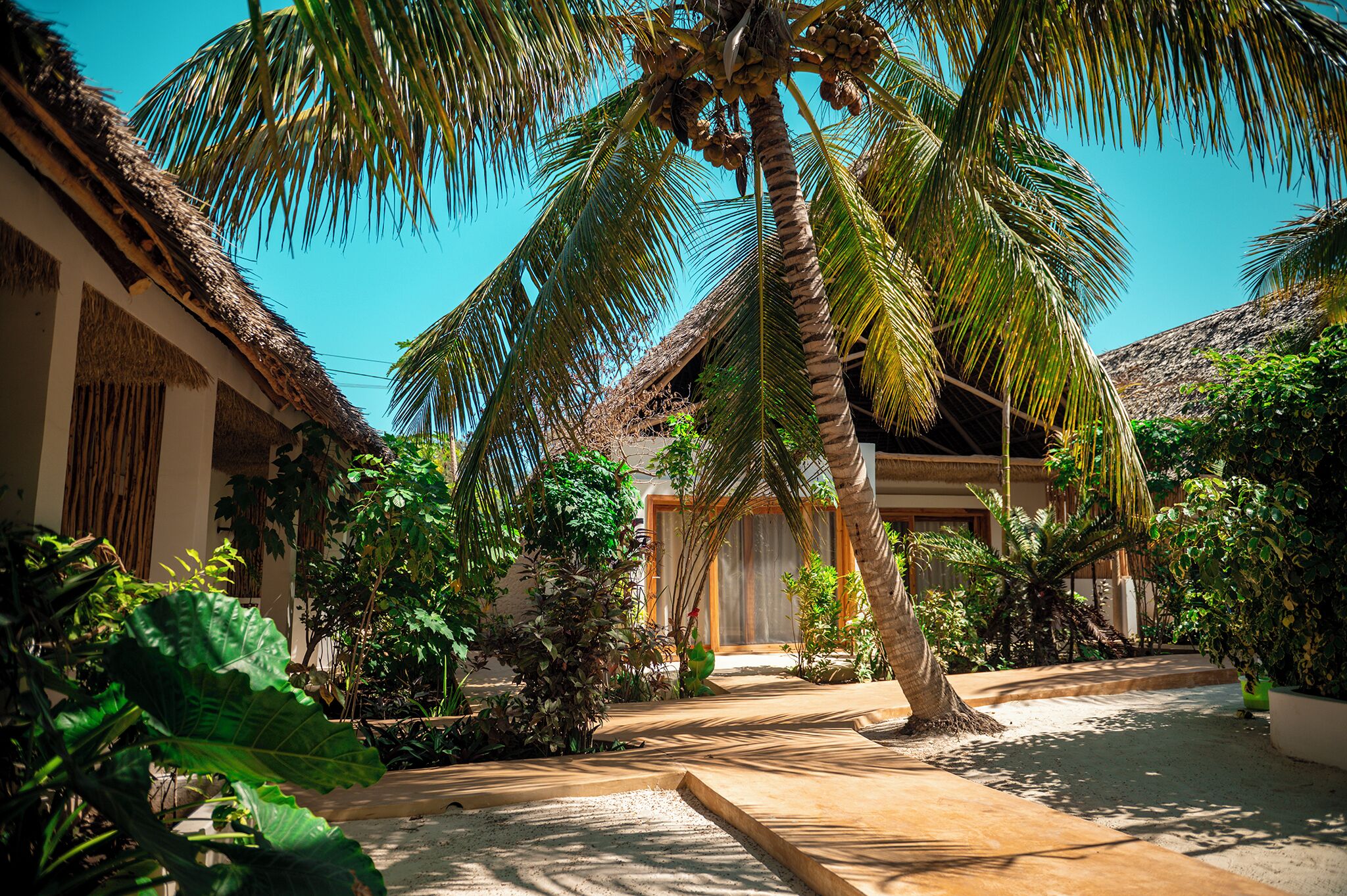 Un resort tropical con edificios de techo de paja, palmeras y un sendero pavimentado.