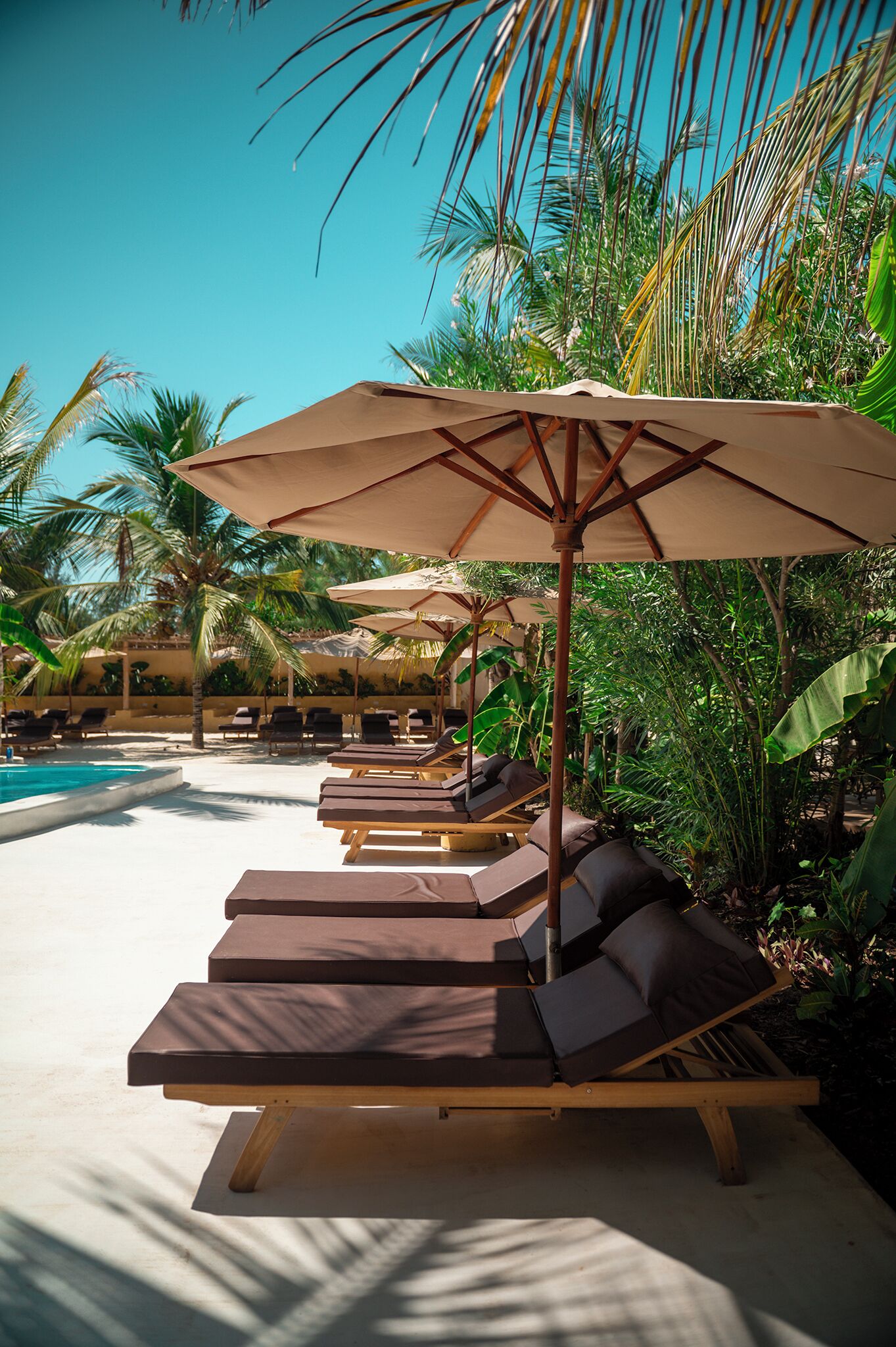 A poolside area with lounge chairs and umbrellas.