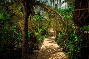 A pathway through a lush garden with dense foliage and a thatched-roof structure in the background.