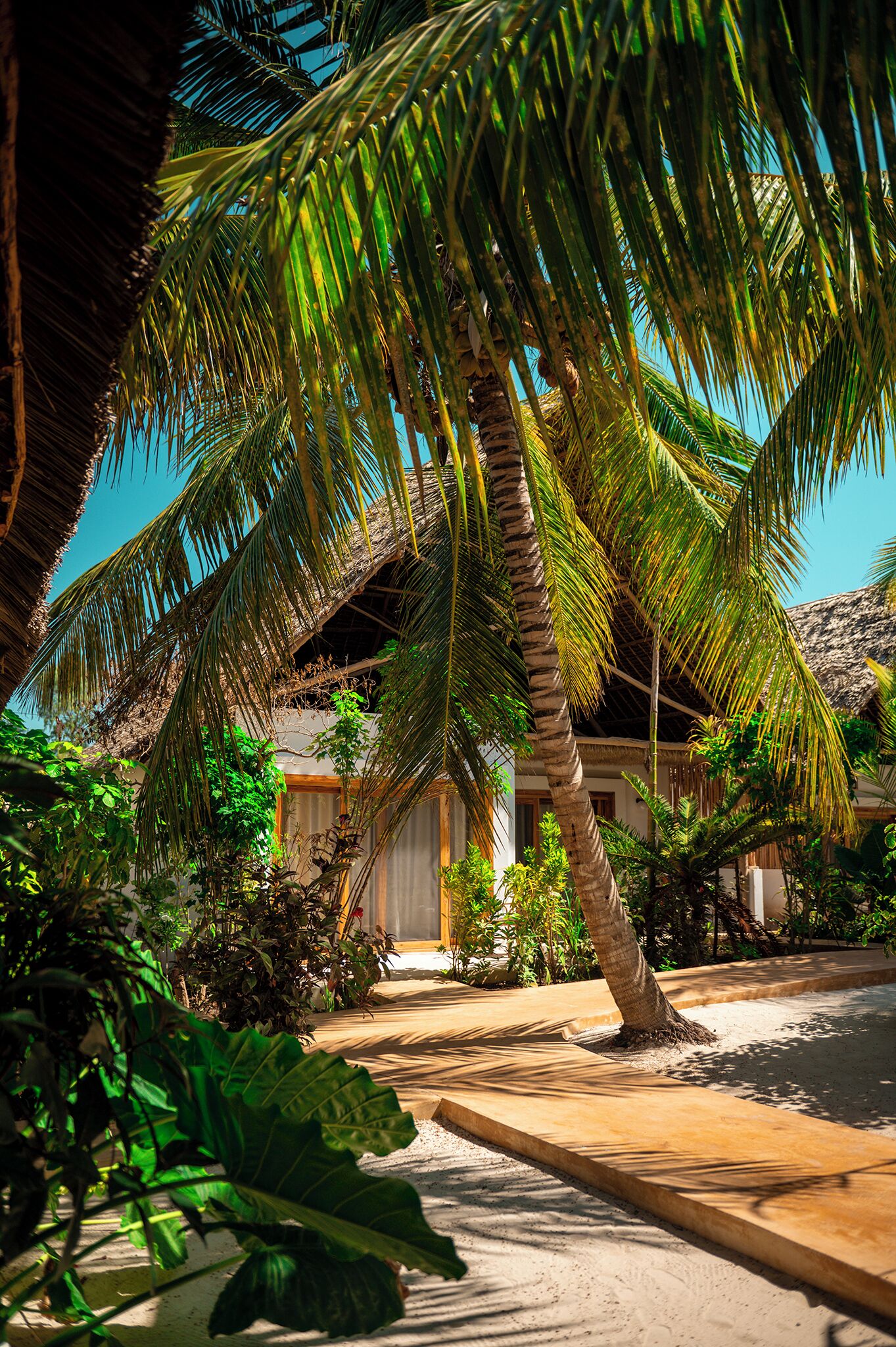 A tropical resort with a thatched-roof building, palm trees, and a paved walkway.