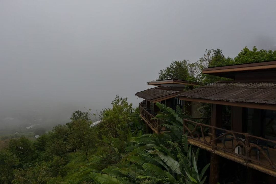 Eine hölzerne Struktur mit Balkon, umgeben von üppiger Vegetation und einer nebligen Landschaft.