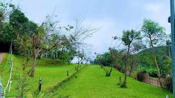A pathway through a lush green area with trees and a fence on one side.