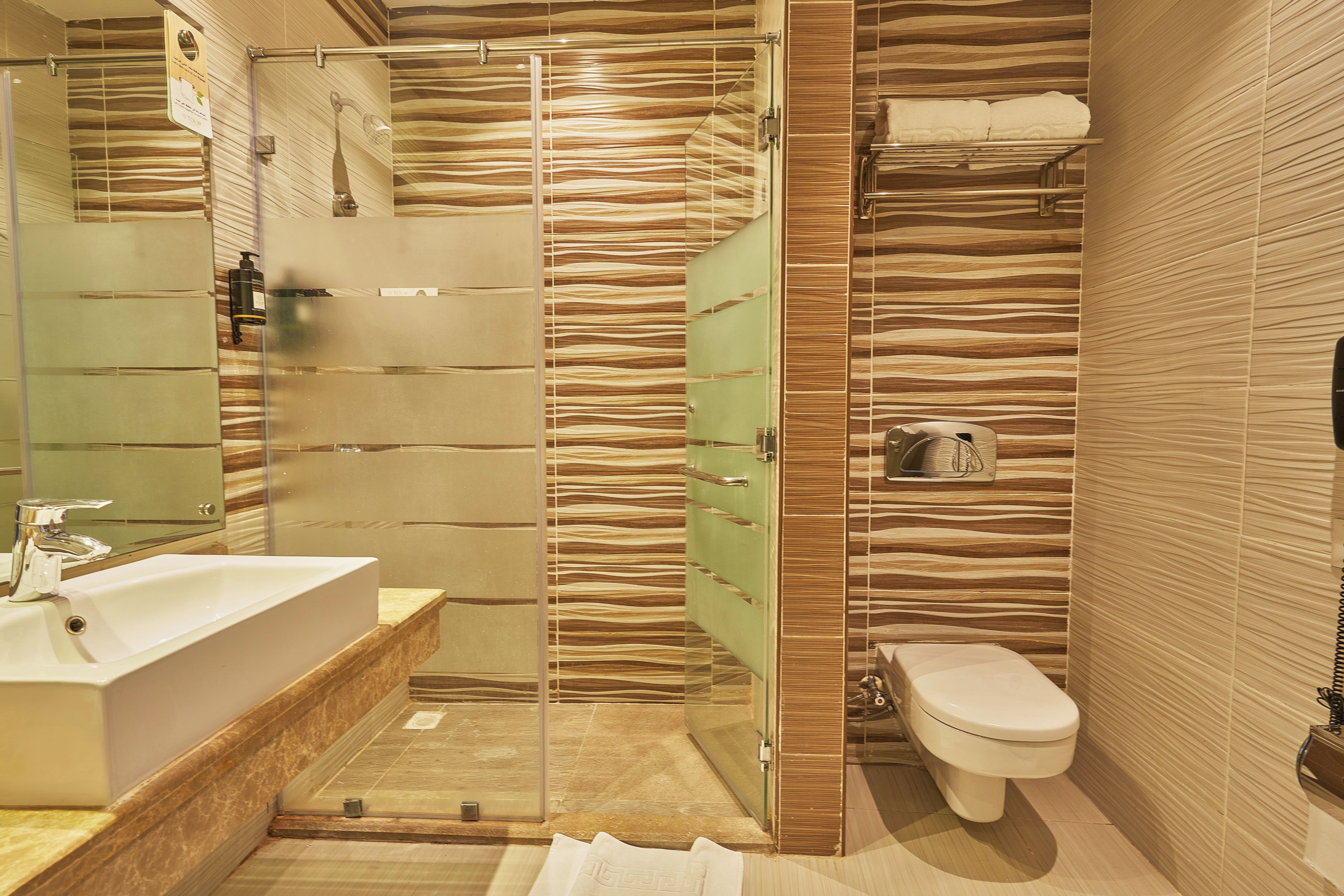 A modern bathroom with a glass-enclosed shower, a sink, and a toilet.