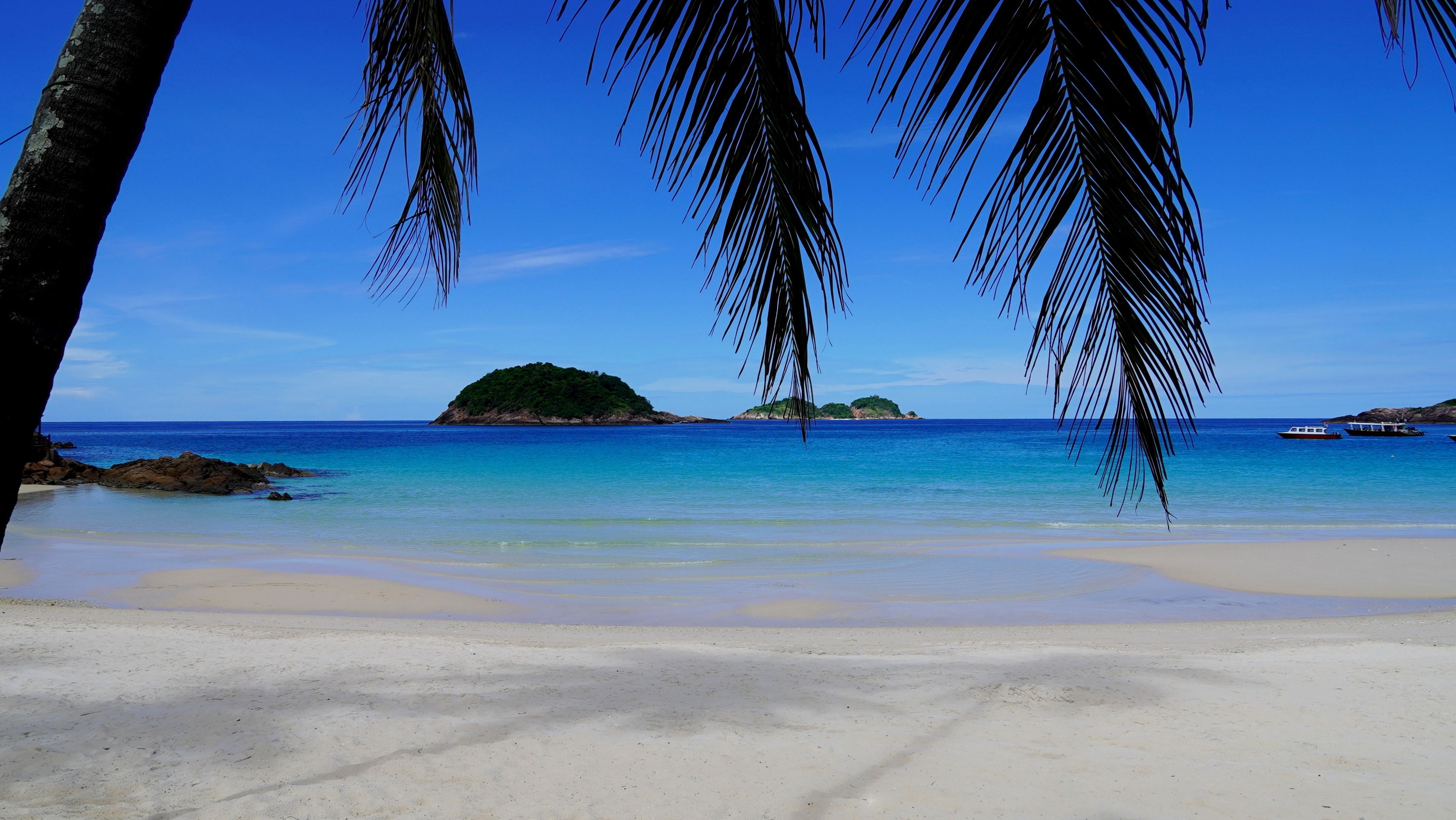 Ein Strand mit klarem, blauem Wasser, sandigem Ufer und Palmen.