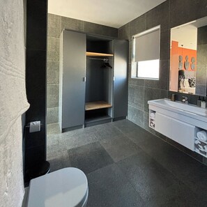 A modern bathroom with a built-in wardrobe, a large mirror, and a white sink. - Blix Inn (Stellenbosch)
