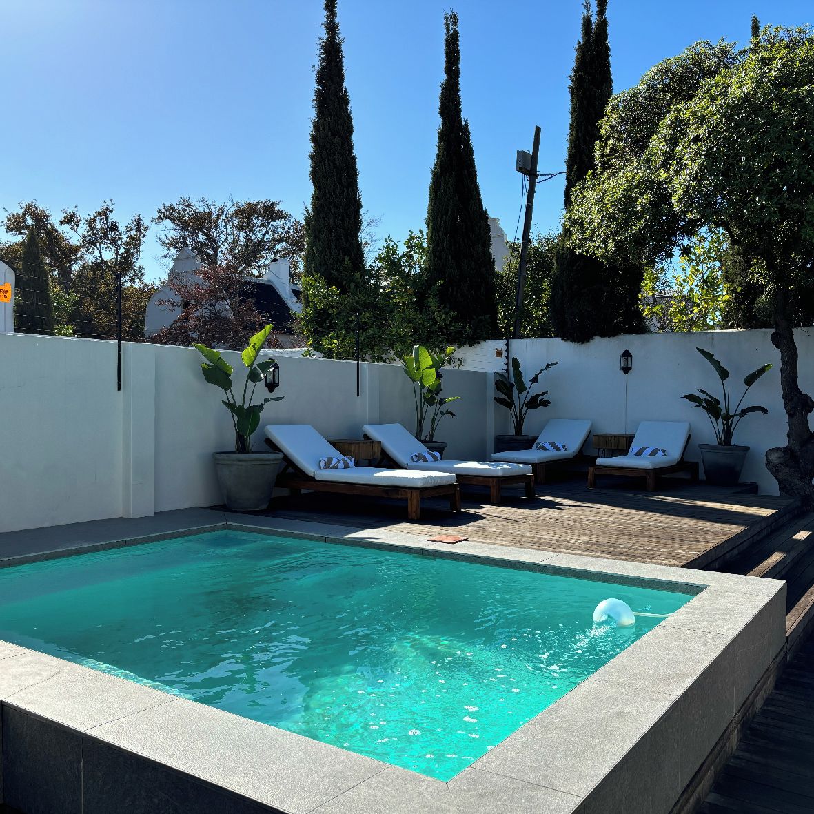 A rectangular pool with clear water, surrounded by white walls and tall trees.