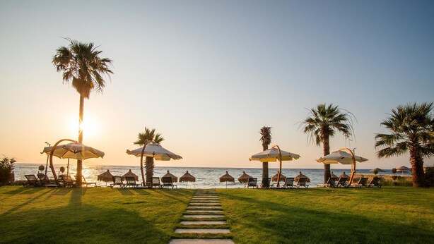 A pathway leading to beach umbrellas and lounge chairs, palm trees, and the ocean at sunset. - Maia Beach Hotel (Aydın)