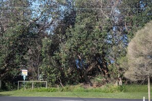 A roadside with a signboard, trees, and a fence. - Dream Weaver at Bawley Point (Bawley Point)