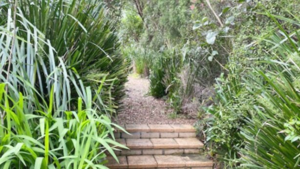 Un escalier en pierre, entouré d’une végétation luxuriante.