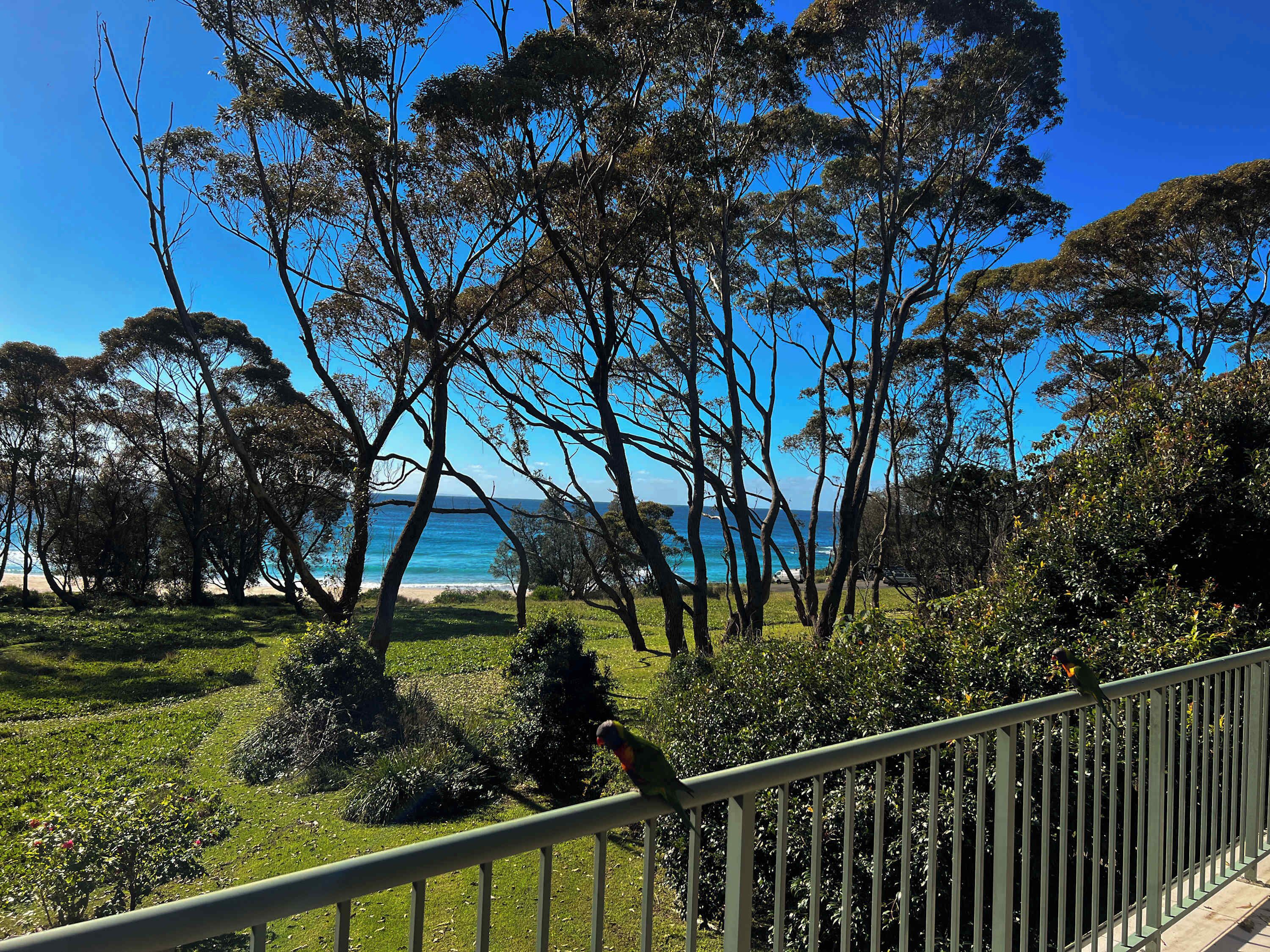 A coastal landscape with trees and a railing.