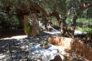 Outdoor dining - Scent Olive Retreat - Olive Retreat (Castelluzzo)