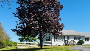 A residential property with a well-maintained lawn, a large tree, and a house with a front porch. - Cozy home in Milford/Harrington 
for relaxing stays! (Harrington)