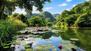 A serene river with lily pads and pink water lilies, surrounded by lush greenery and hills.